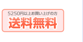 期間限定キャンペーン特別ポイント付与｜１００円毎5ポイント｜FAXでのご注文はポイントは付きません。